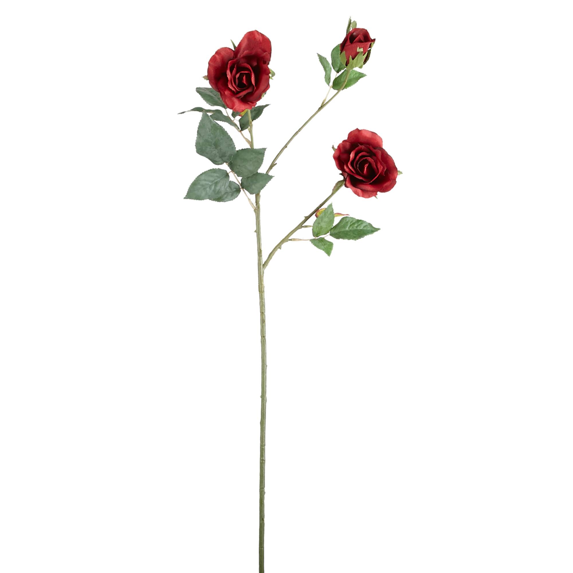 Rose Spray by Ashland